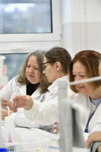 Kliknij, aby powiększyć zdjęcie.